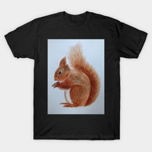 Mr Squirrel T-Shirt